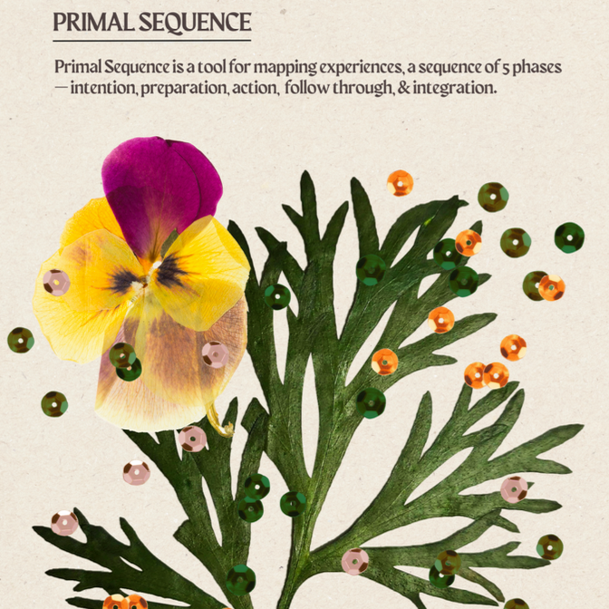 Primal Sequence zine